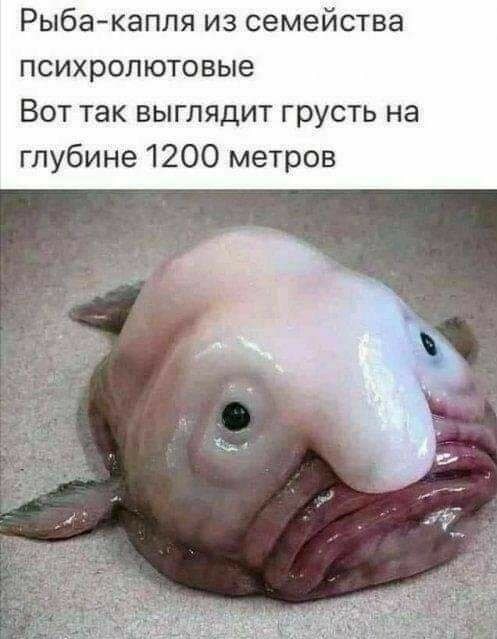 Картинки и мемы для настроения 30.01.21