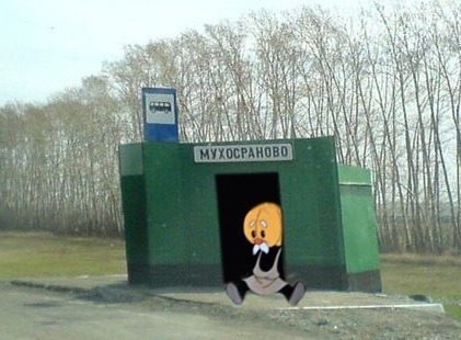 Картинки 11.02