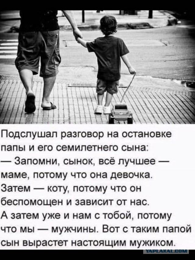 Баянисто-небаянистый юмор 14.05.21