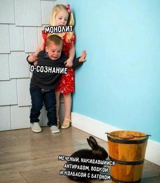 Всяческие картинки 02.02.2022