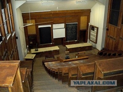 Амстердамский университет