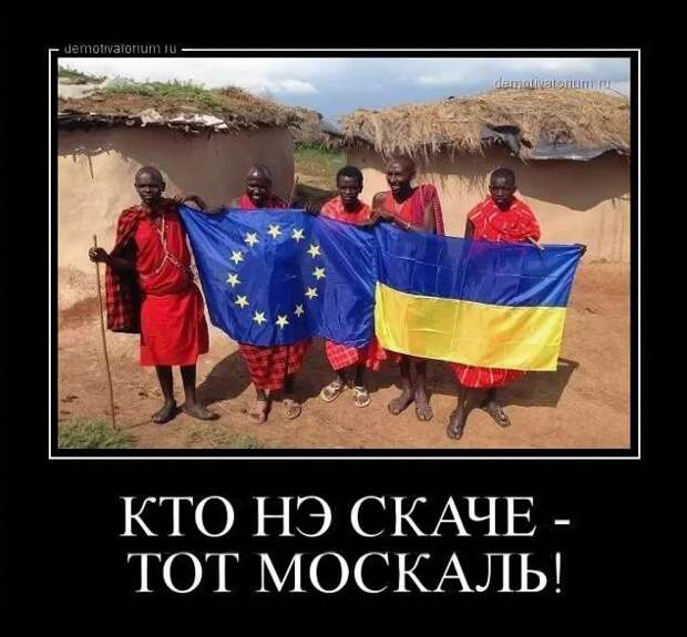 Как это видят немцы