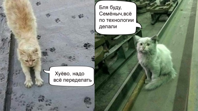 Картинки и мемы - "Жить, как говорится, хорошо..."