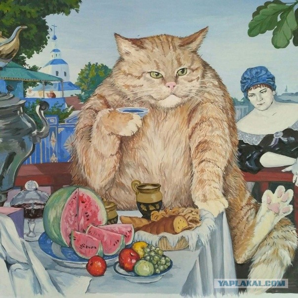 Кот