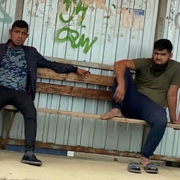 Три пакета с расчленёнными человеческими останками нашли в частной бане во Всеволожске.