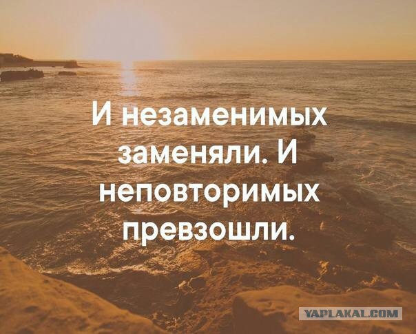 Победная поступь идиотизма по планете – том 8