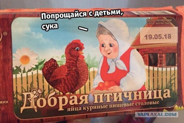 Цвет "настоящих" деревенских яиц или как обмануть потребителя