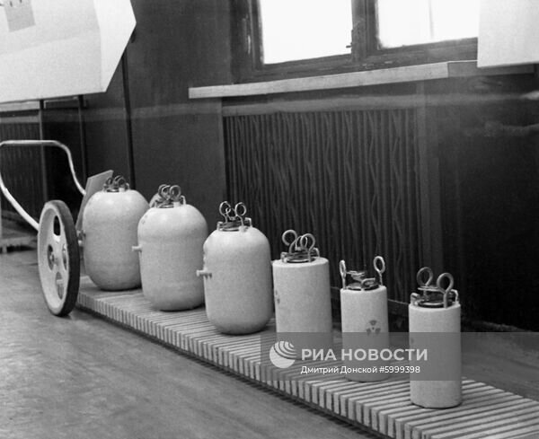 "Изотопы": история уникального магазина советской Москвы