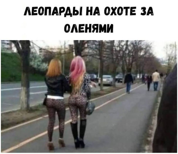 Вторник. Немного картинок