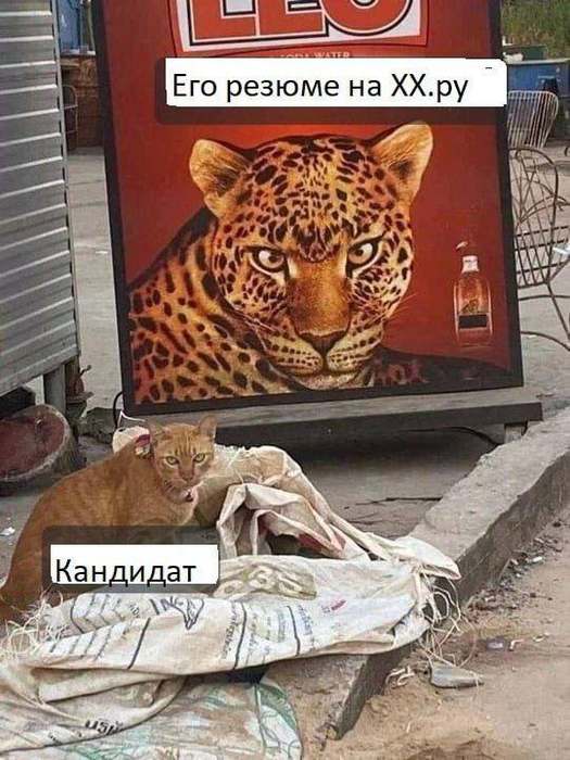Картинки для деградации 104 (разной степени свежести)