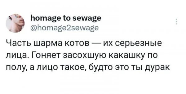 Пятницы картинки