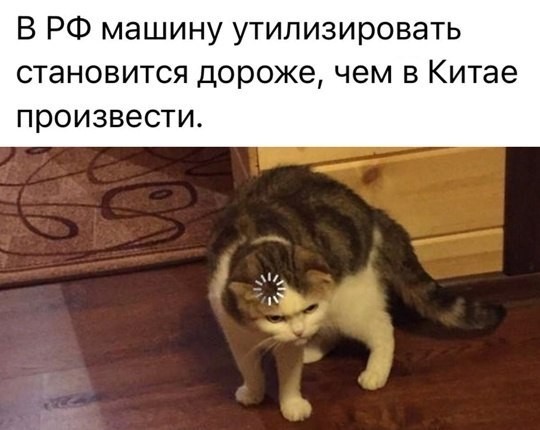 Картиночки, баянчики 12 декабря