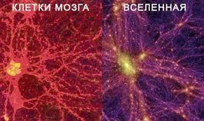 Большой взрыв создал материю… Но кто написал программу жизни?