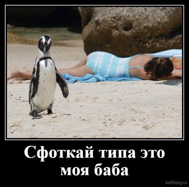 Картинки на среду