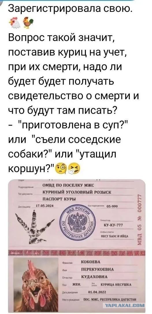 Так себе картинки 29.09.26