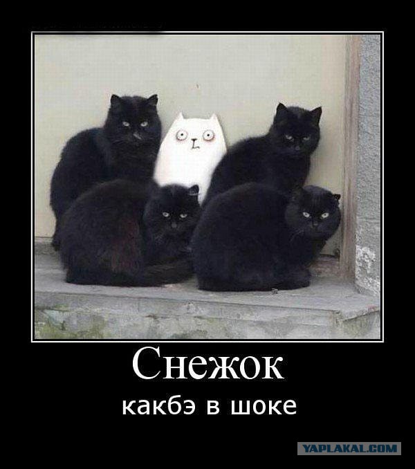 Что-то здесь не так