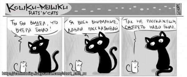 Кошки мышки