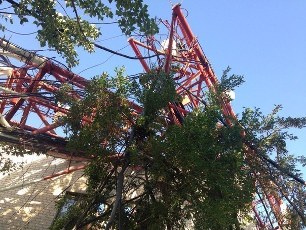 Под Славянском упала телевышка