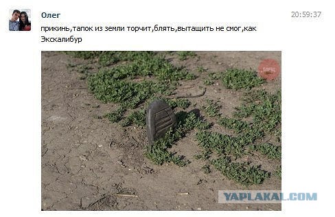 Подборка веселых картинок