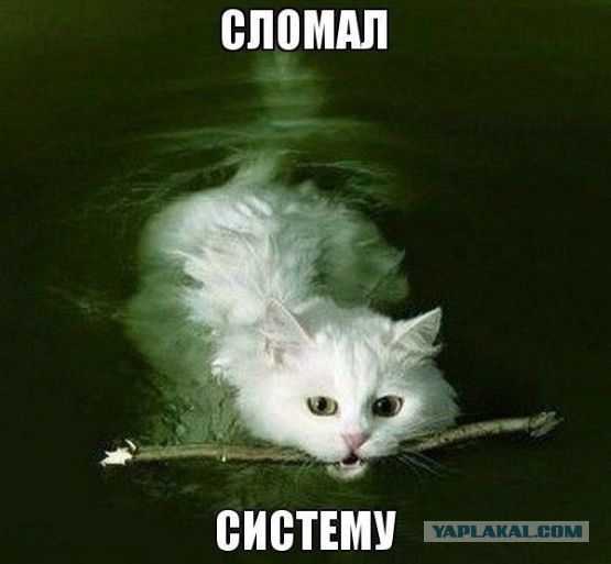 ЯП-сообщество идеальных людей