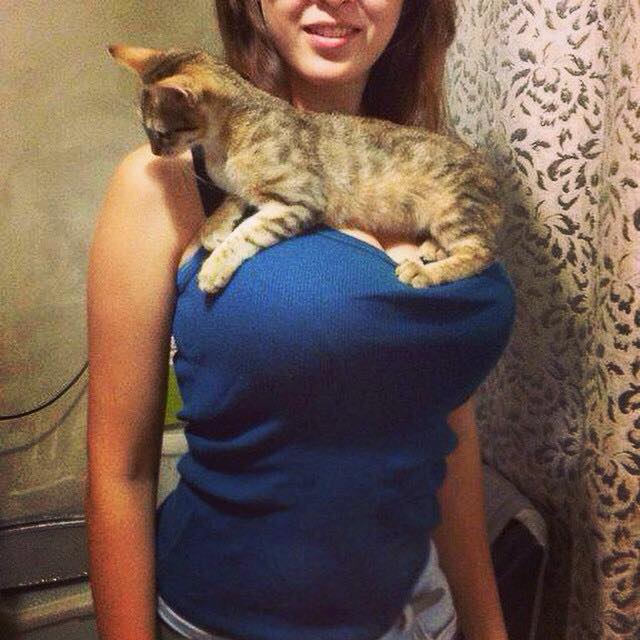 Зверский позитив