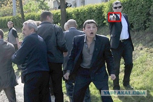 Нападение на ветеранов во Львове (9 мая 2011)