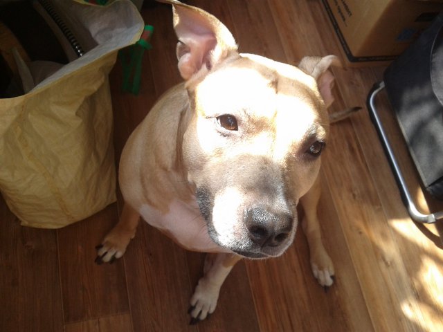 Цобакин четверг