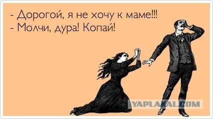 Минутка шизофрении