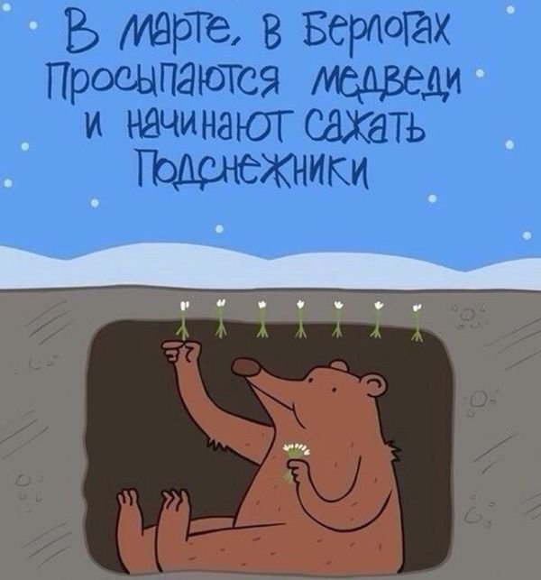 Картинки из сети, подборка на пятницу.