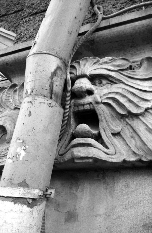 Подборка интересных и веселых картинок