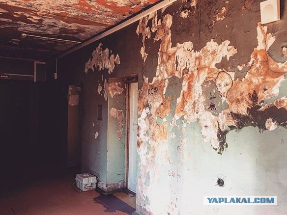 Аццкое боткино (ред. 2008)