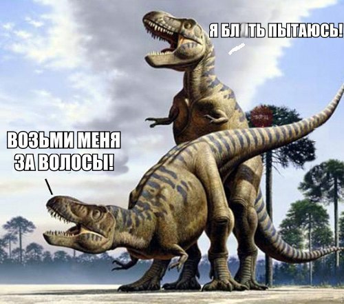 Абсурд зашкаливает