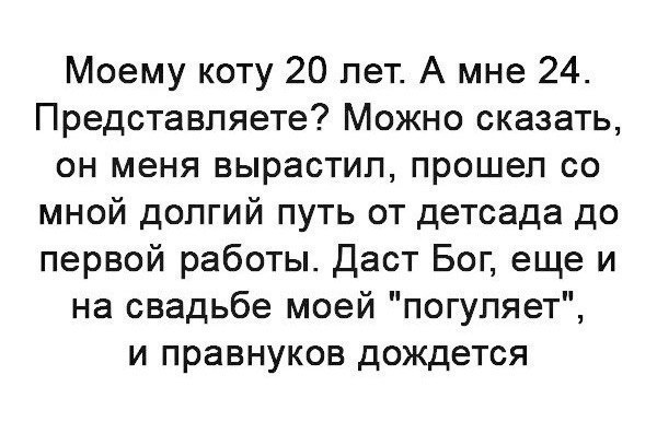 Некоторые наблюдения и высказывания