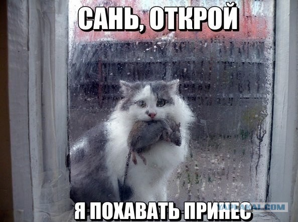 Деградации пост