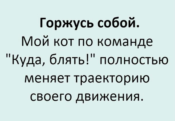 Смешные комментарии из социальных сетей 03.11.2017