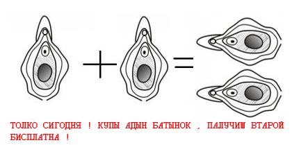 НАШЪ БУКВАРЬ V.2.1