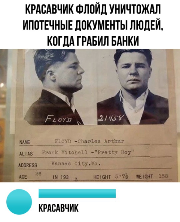 Дурацкие картинки
