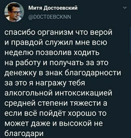 Прикольные картинки и фото с надписями и коментами????
