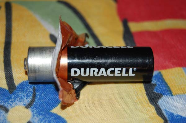 Настоящее лицо Duracell