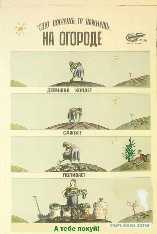 На огороде