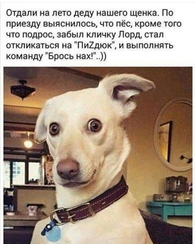 Картинки и мемы для настроения 19.05.2021