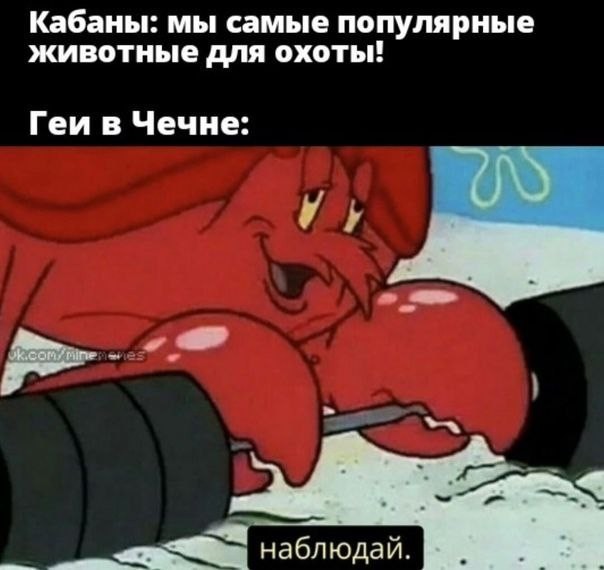 Аморальная деградация