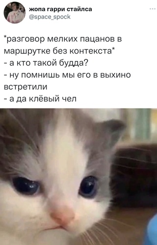 Картинки и мемы для настроения - 19