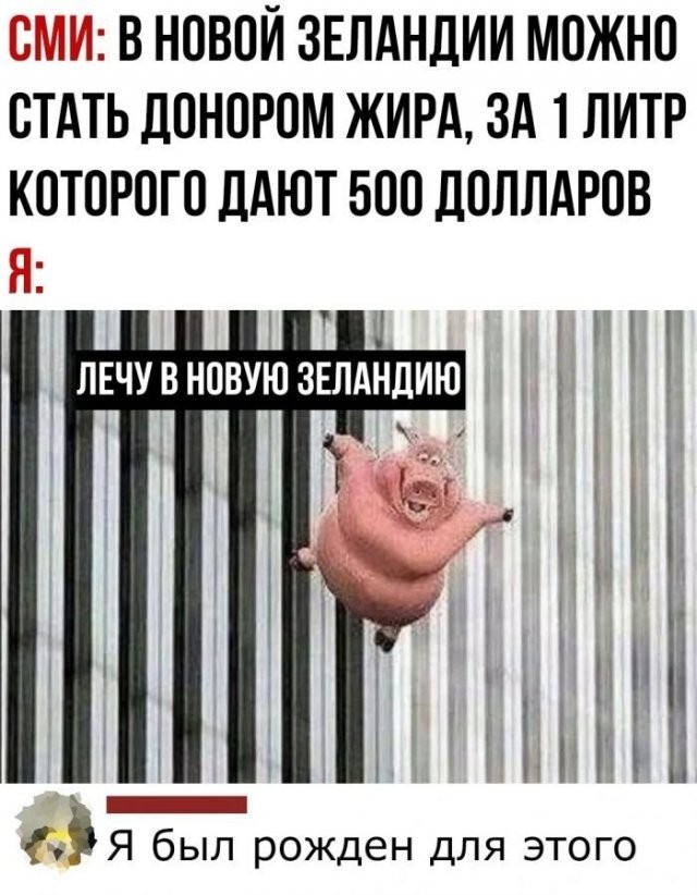 Скриншоты и комментарии из социальных сетей 10.08.22