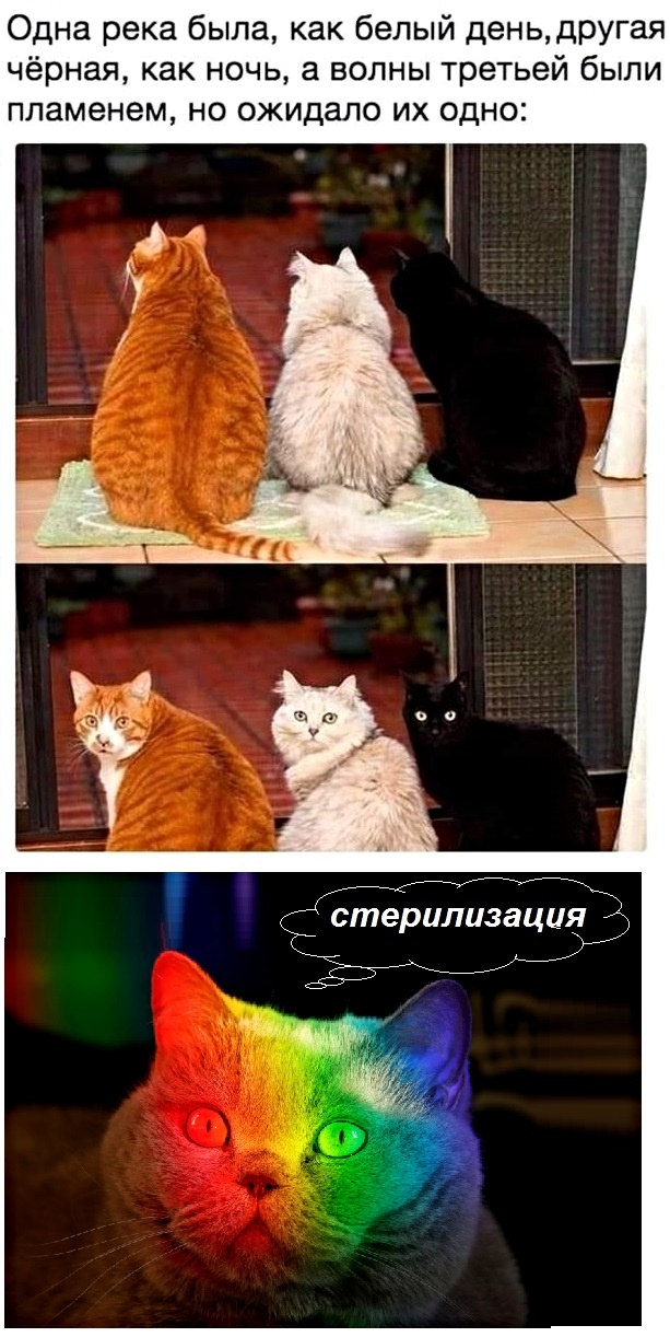 Одна река была как белый день, Другая чёрная как ночь...