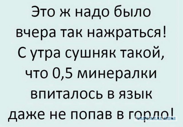 Тот, кто пил рояль в 90-е и выжил – бессмертные