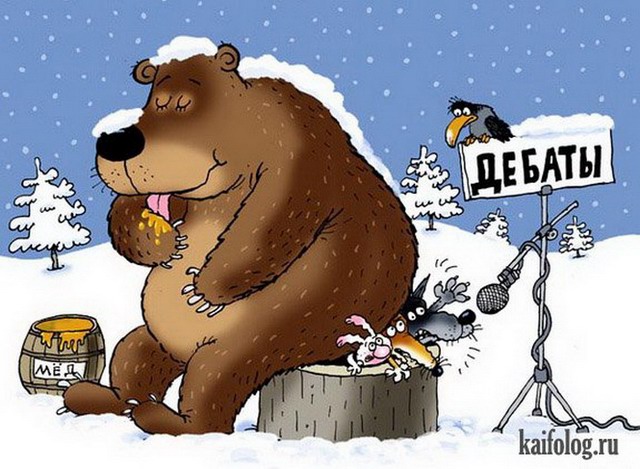 Рандомные анекдоты про медведя