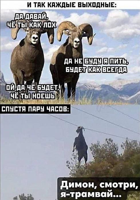 Завалялось тут случайно немного забавных картинок