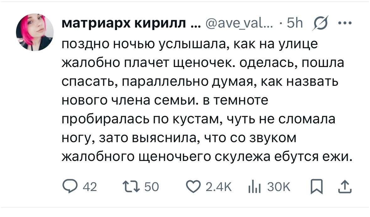 https://s00.yaplakal.com/pics/pics_original/7/7/4/20007477.jpg