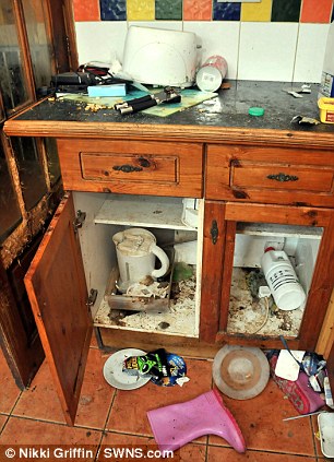 Сдали дом на свою голову